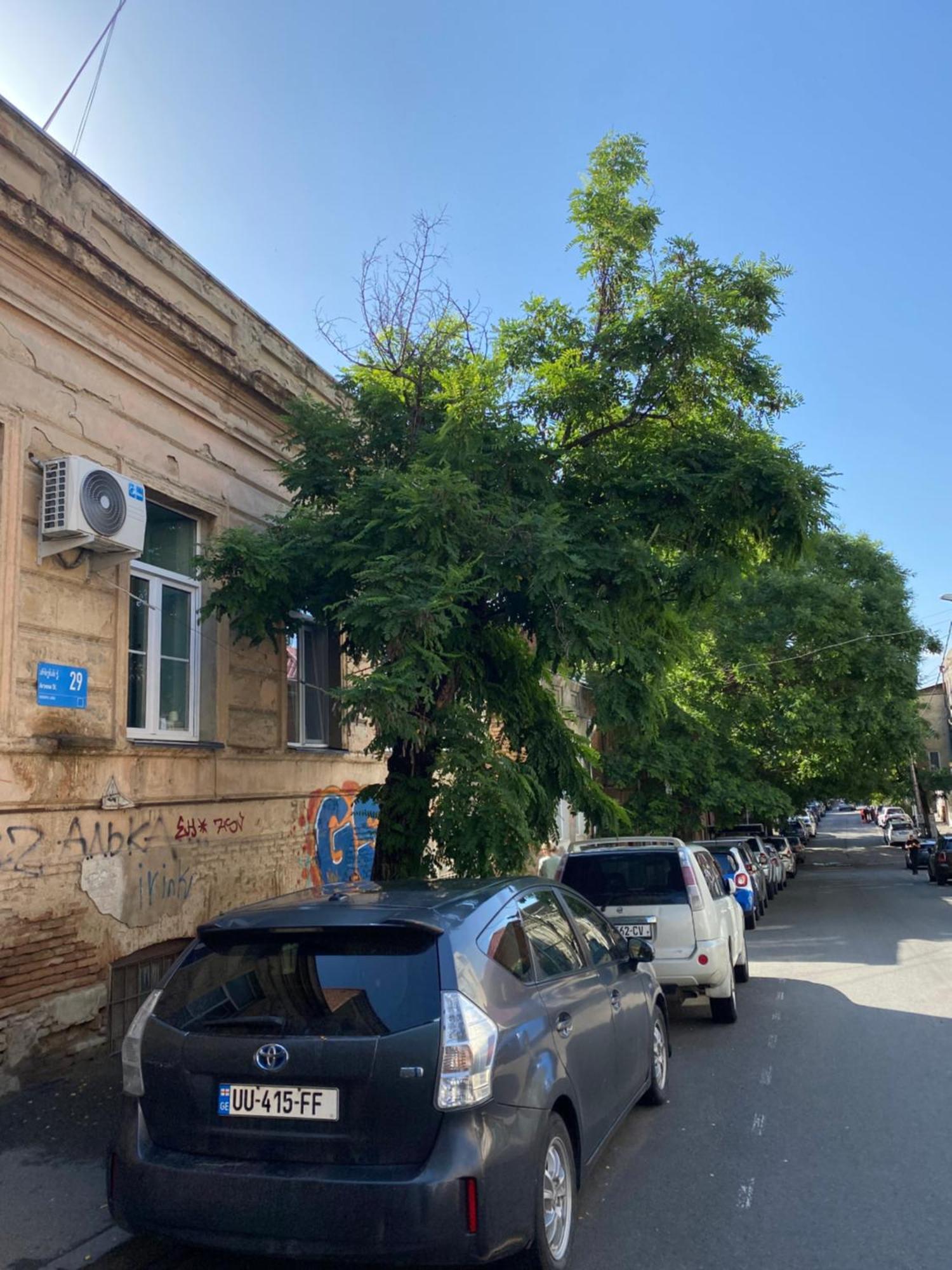 Old Tbilisi City Center, Two - Room Apartment Buitenkant foto